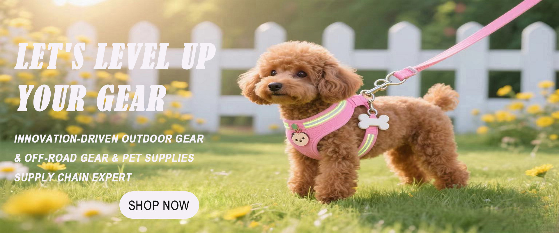 Home 8378529d db0f 426e bf63 c91db30095ff